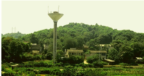 數據采集與監控系統