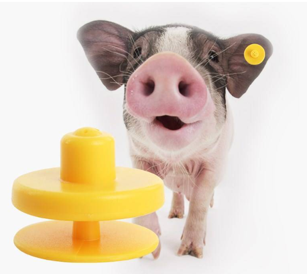 禽畜單體監(jiān)測(cè)