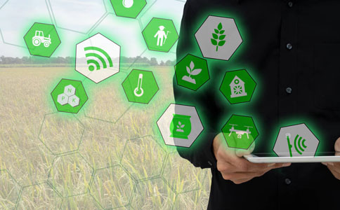 智慧農業是什么，以及它如何改變農業