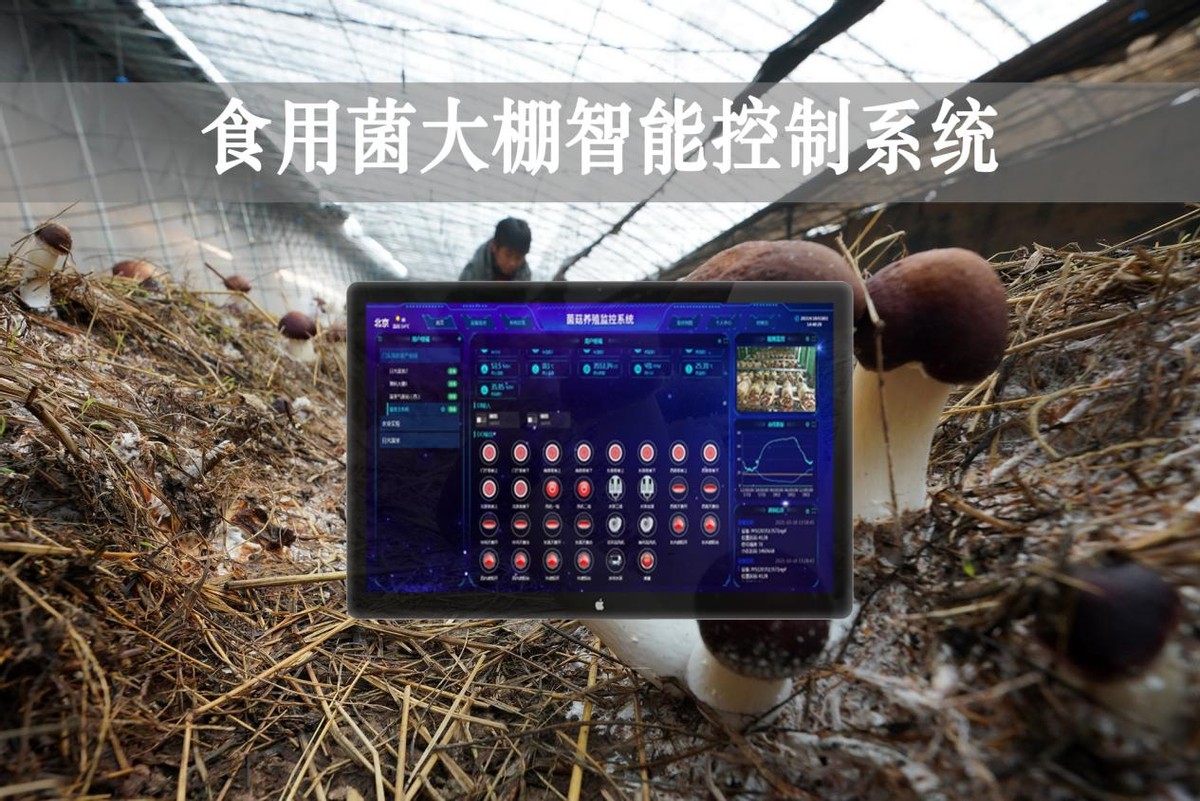 食用菌大棚智能控制系統
