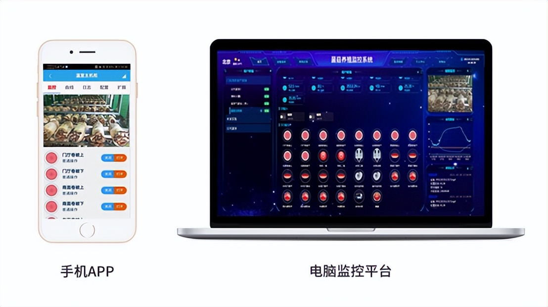 多平臺遠程控制、查看