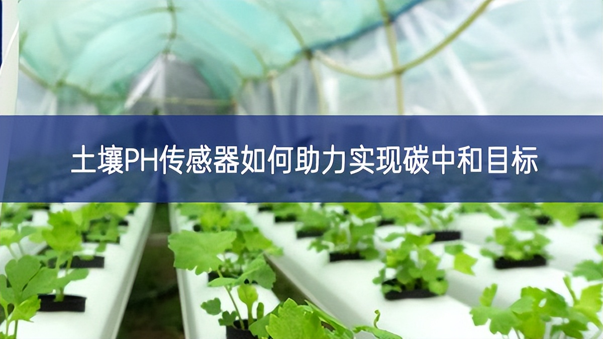 土壤PH傳感器如何助力實現碳中和目標