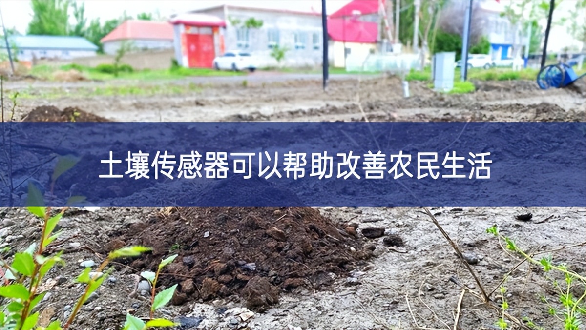 土壤傳感器可以幫助改善農民生活