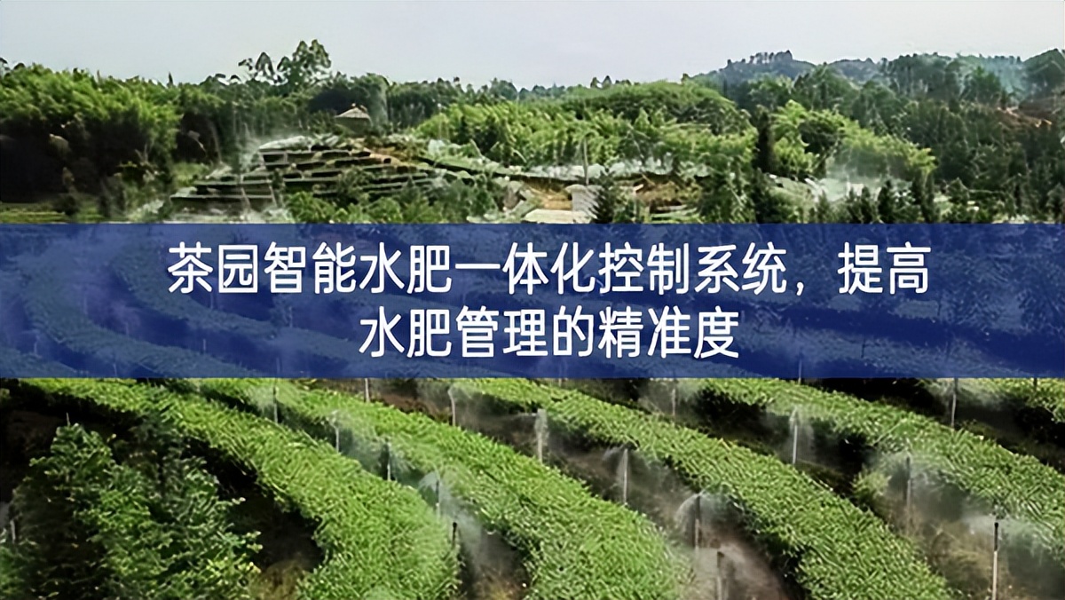 茶園智能水肥一體化控制系統,提高水肥管理的精準度 茶園智能水肥一體化控制系統,提高水肥管理的精準度