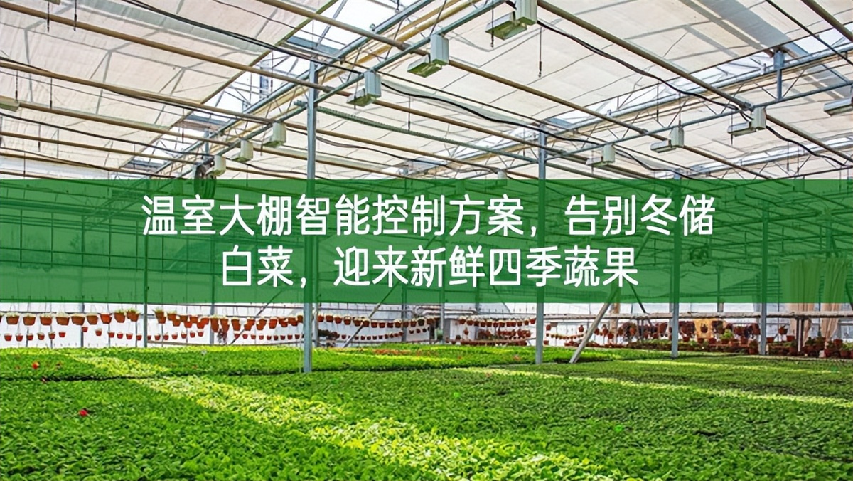 溫室大棚智能控制方案,告別冬儲白菜,迎來新鮮四季蔬果 溫室大棚智能控制方案,告別冬儲白菜,迎來新鮮四季蔬果