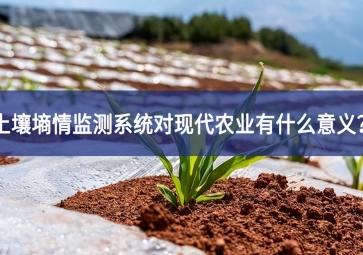 土壤墑情監(jiān)測系統(tǒng)對現(xiàn)代農(nóng)業(yè)有什么意義？