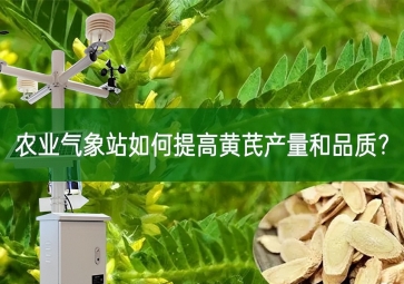 農業(yè)氣象站如何提高黃芪產量和品質？