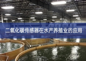 二氧化碳傳感器在水產養殖業的應用