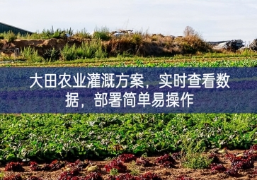 「智慧農(nóng)業(yè)」大田農(nóng)業(yè)灌溉方案，實時查看數(shù)據(jù)，部署簡單易操作