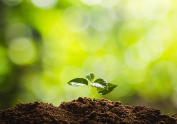 光照度傳感器，如何成了智慧農(nóng)業(yè)的新寵兒