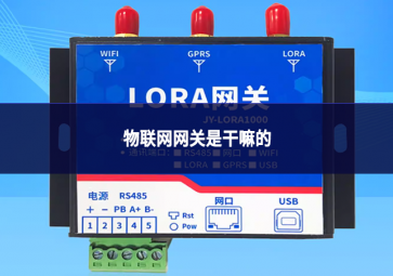 物聯(lián)網(wǎng)網(wǎng)關(guān)是干嘛的
